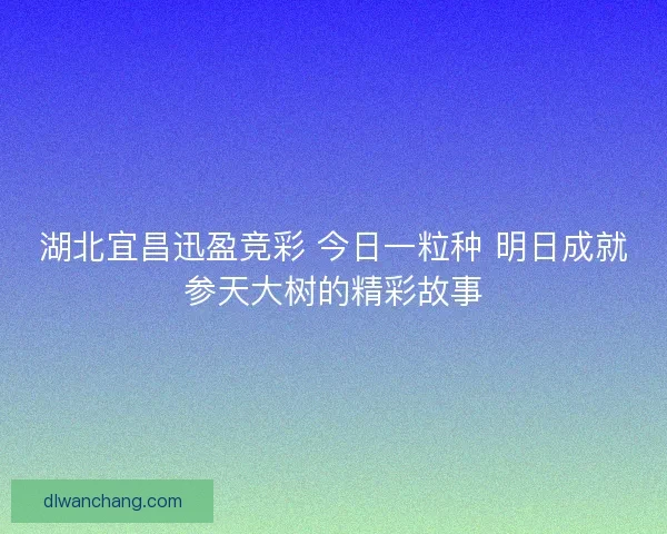 湖北宜昌迅盈竞彩 今日一粒种 明日成就参天大树的精彩故事