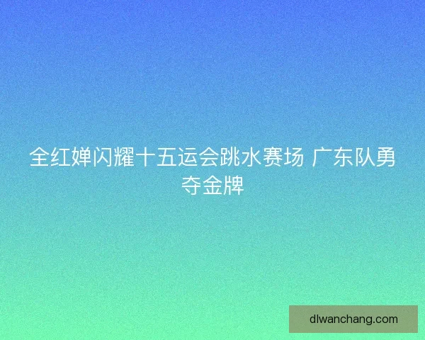 全红婵闪耀十五运会跳水赛场 广东队勇夺金牌